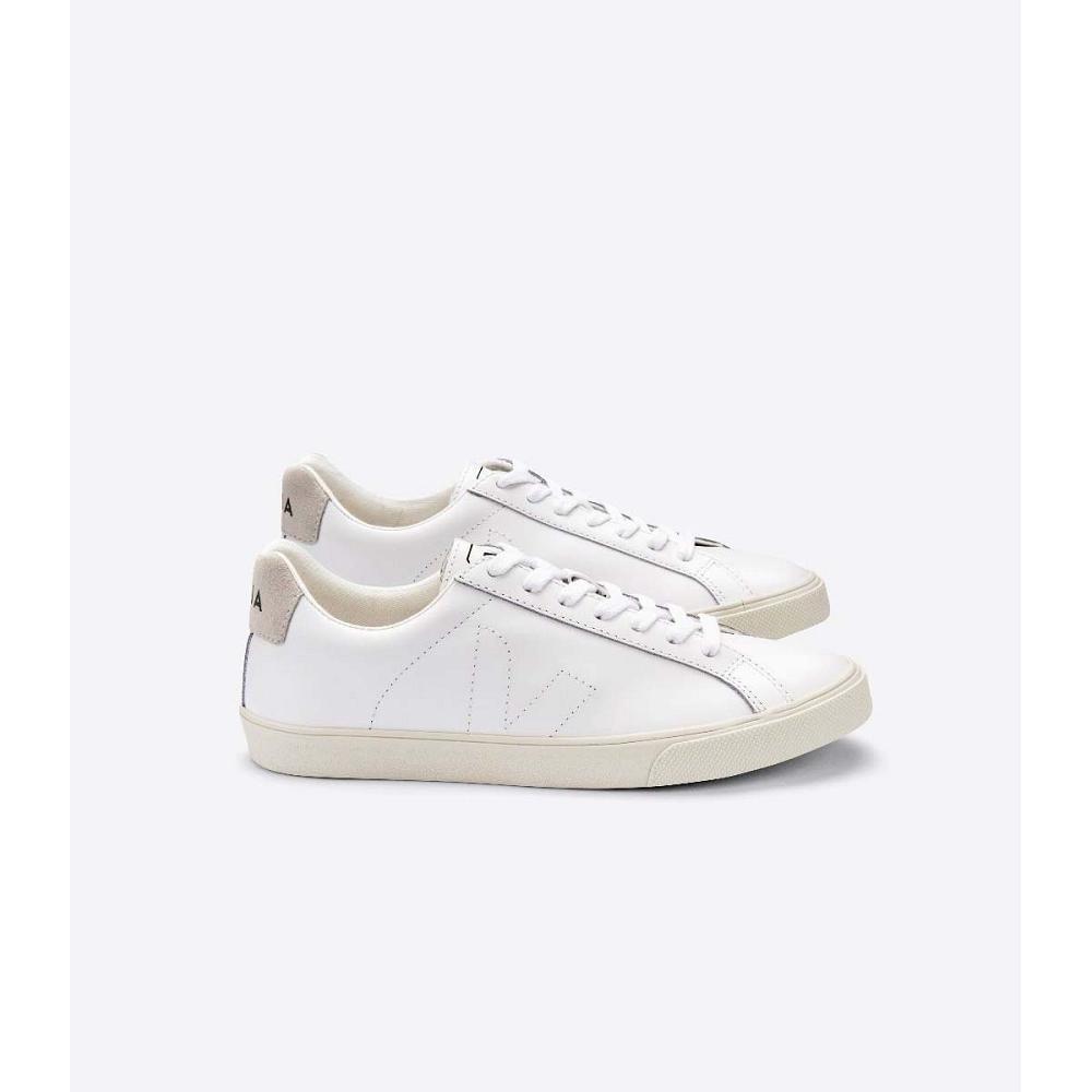 Veja ESPLAR LEATHER Sneakers Heren Wit | BE 308JPQ